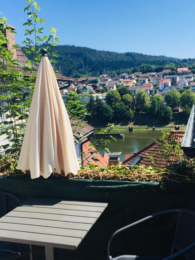 Natur Und Neckarblick Bei Heidelberg Hirschhorn Luaran gambar