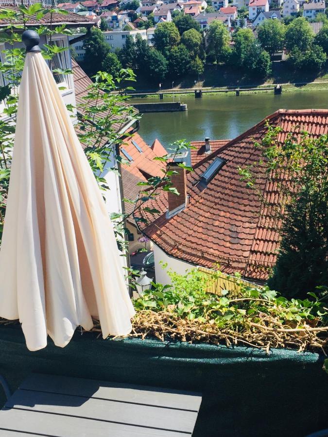 Natur Und Neckarblick Bei Heidelberg Hirschhorn Luaran gambar