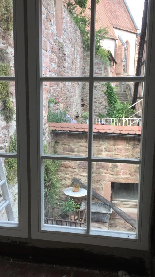 Natur Und Neckarblick Bei Heidelberg Hirschhorn Luaran gambar