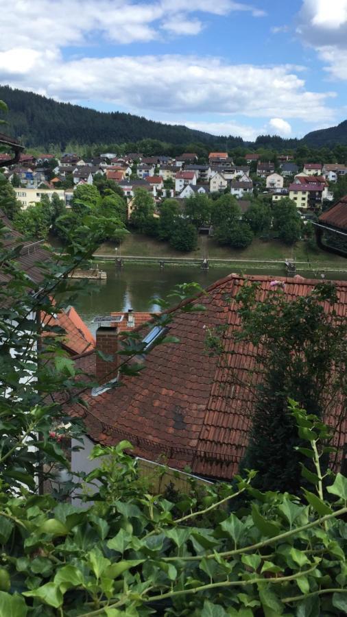 Natur Und Neckarblick Bei Heidelberg Hirschhorn Luaran gambar