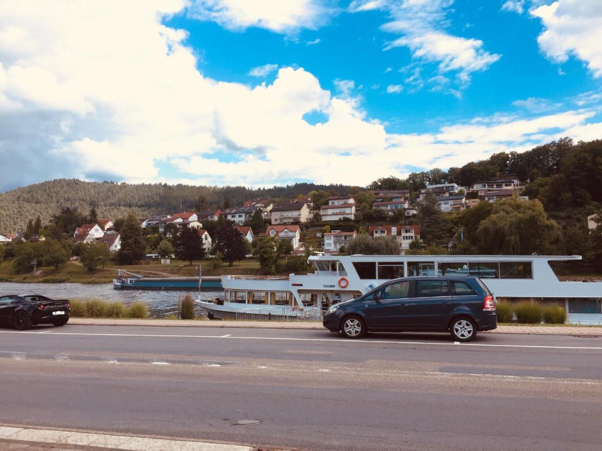 Natur Und Neckarblick Bei Heidelberg Hirschhorn Luaran gambar