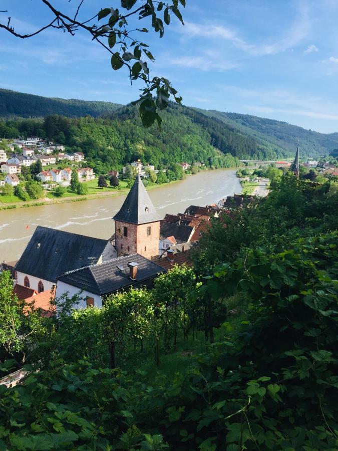 Natur Und Neckarblick Bei Heidelberg Hirschhorn Luaran gambar