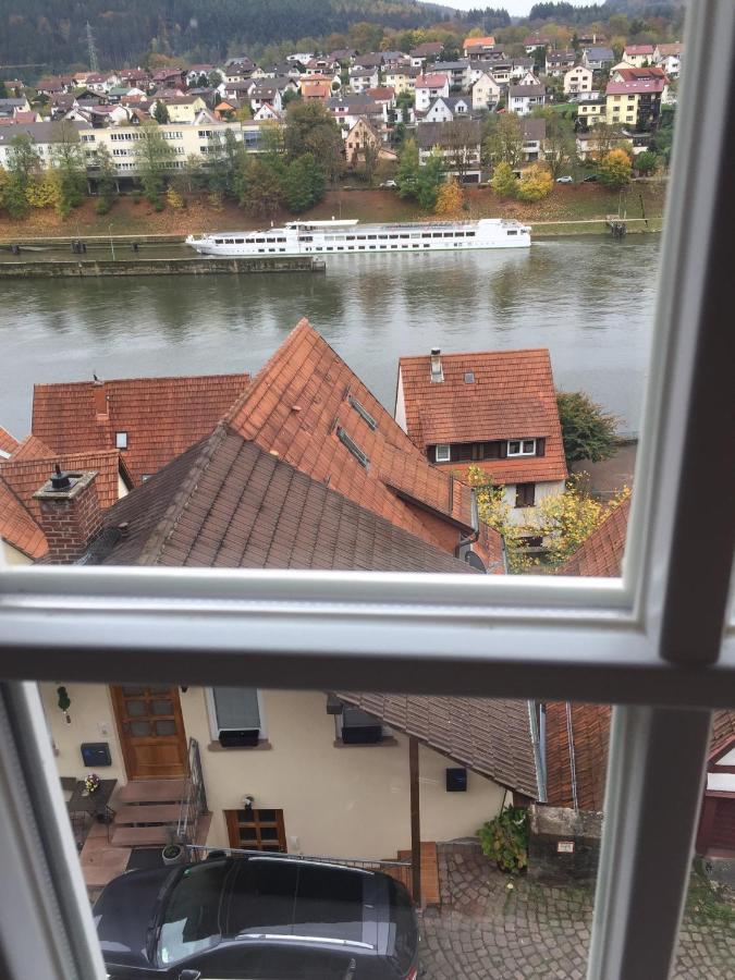 Natur Und Neckarblick Bei Heidelberg Hirschhorn Luaran gambar
