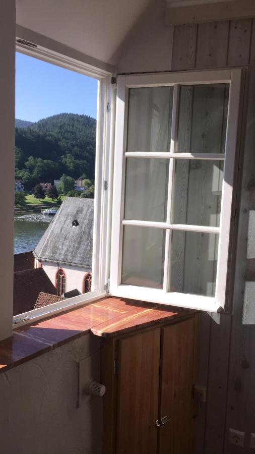 Natur Und Neckarblick Bei Heidelberg Hirschhorn Luaran gambar
