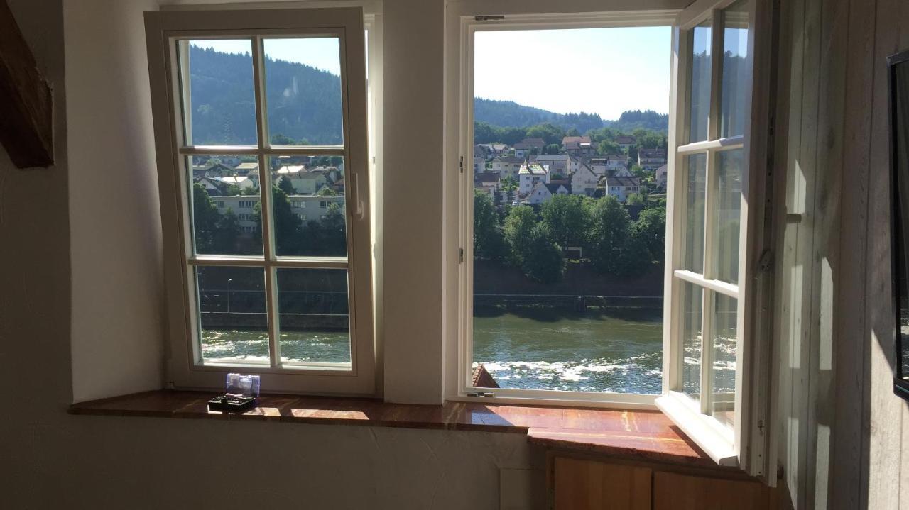 Natur Und Neckarblick Bei Heidelberg Hirschhorn Luaran gambar