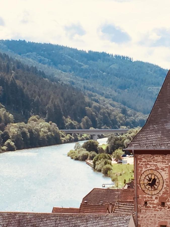 Natur Und Neckarblick Bei Heidelberg Hirschhorn Luaran gambar