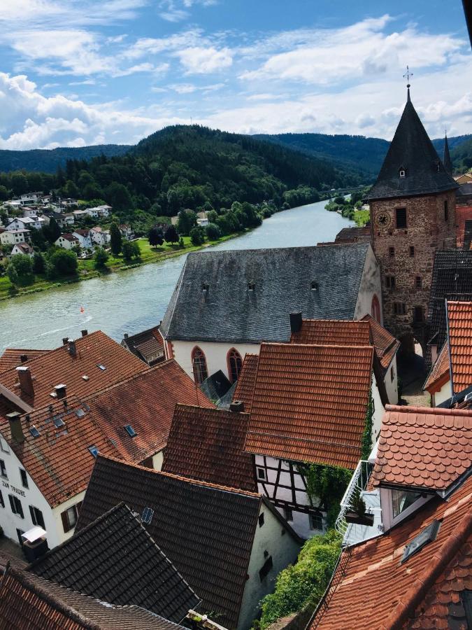 Natur Und Neckarblick Bei Heidelberg Hirschhorn Luaran gambar