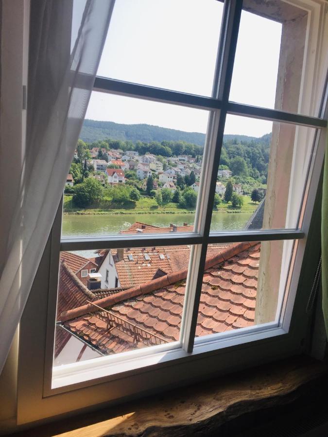 Natur Und Neckarblick Bei Heidelberg Hirschhorn Luaran gambar