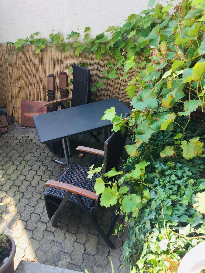 Natur Und Neckarblick Bei Heidelberg Hirschhorn Luaran gambar