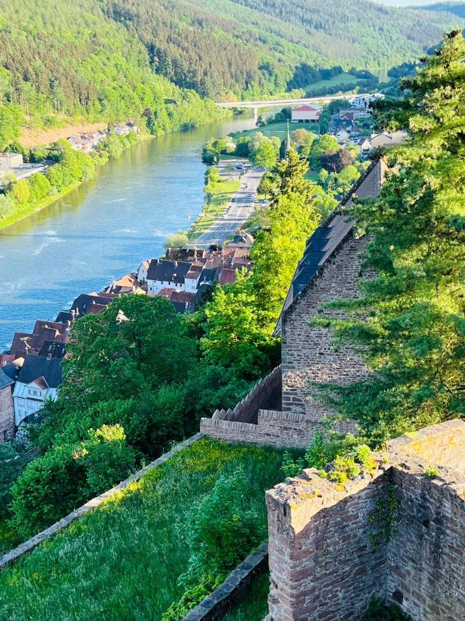 Natur Und Neckarblick Bei Heidelberg Hirschhorn Luaran gambar