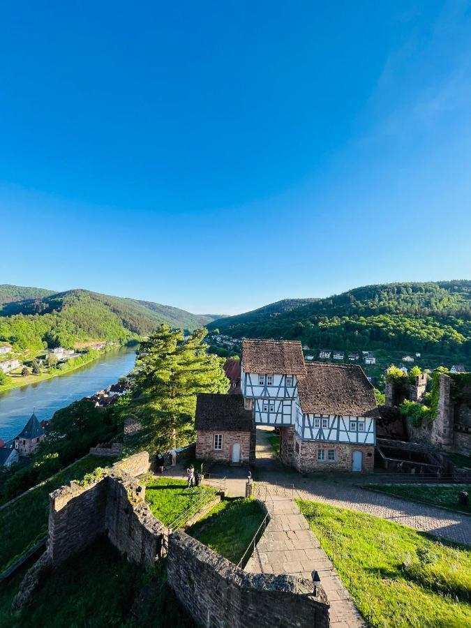 Natur Und Neckarblick Bei Heidelberg Hirschhorn Luaran gambar