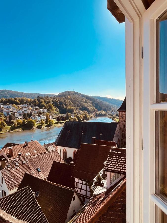 Natur Und Neckarblick Bei Heidelberg Hirschhorn Luaran gambar