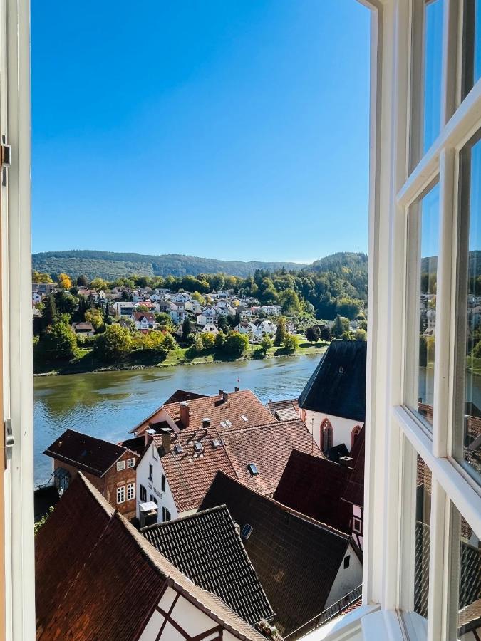 Natur Und Neckarblick Bei Heidelberg Hirschhorn Luaran gambar