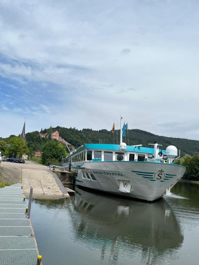 Natur Und Neckarblick Bei Heidelberg Hirschhorn Luaran gambar